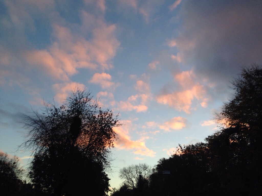 20131024-084011.jpg