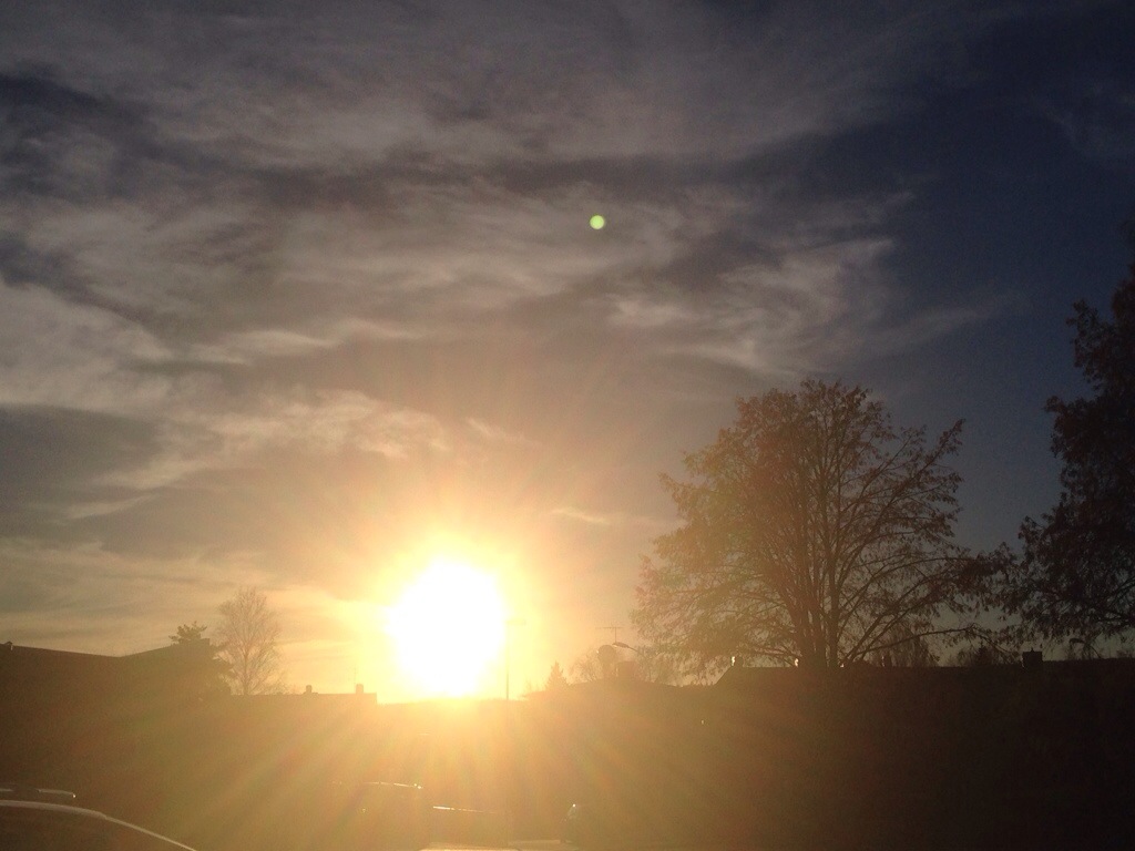 20131117-191610.jpg