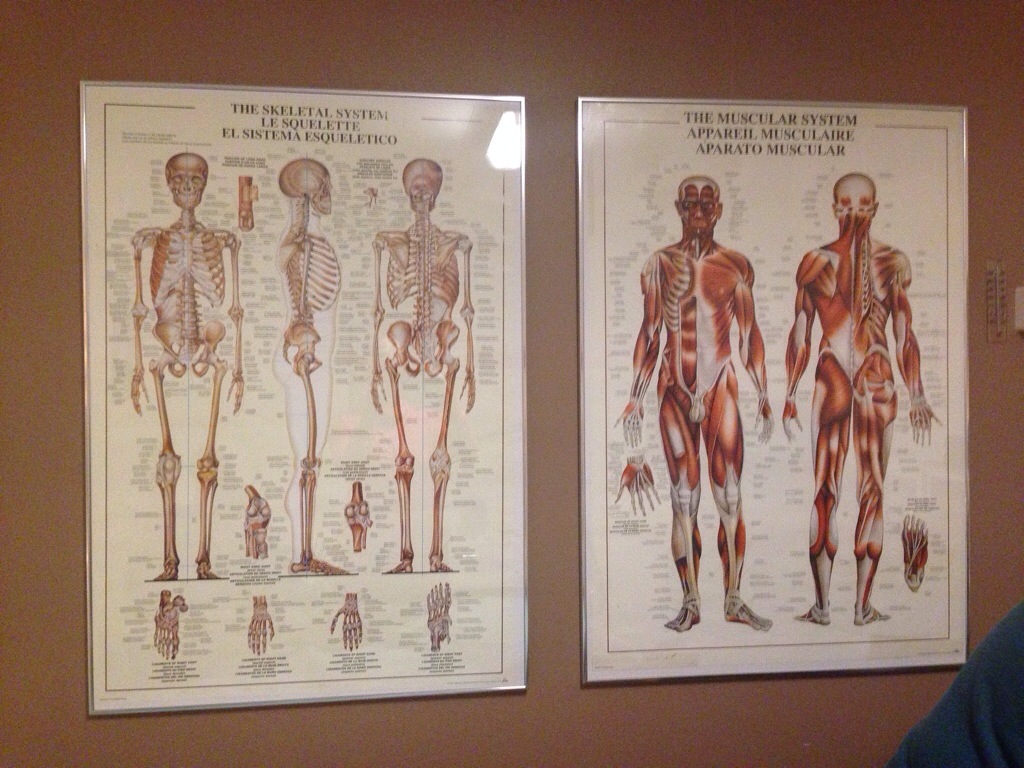 20131125-203615.jpg
