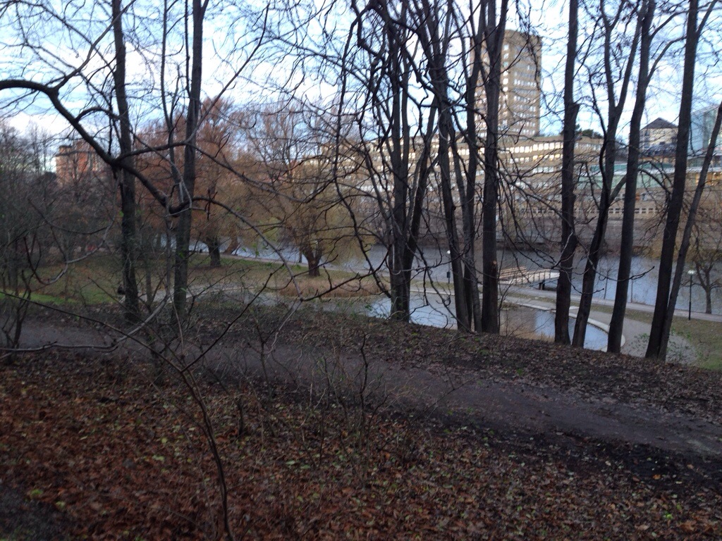 20131129-071553.jpg