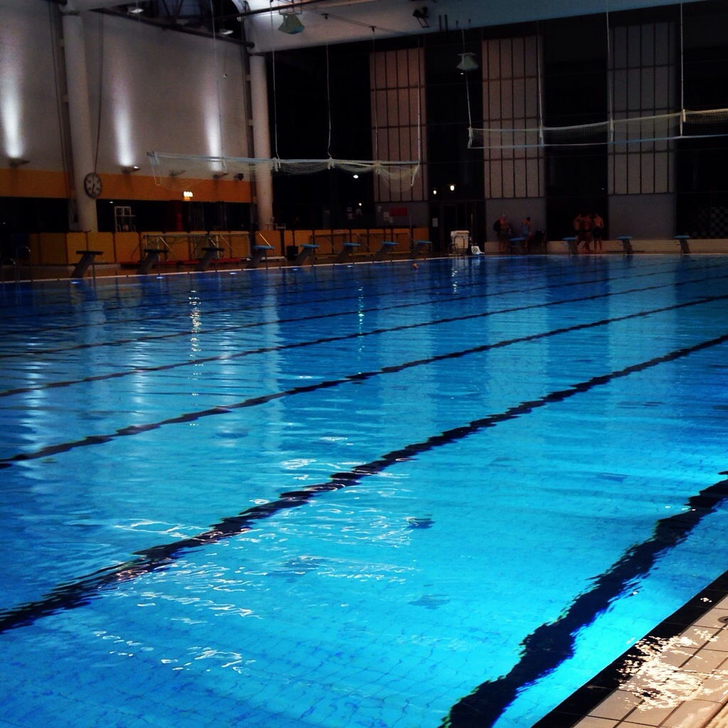 20131129-071654.jpg