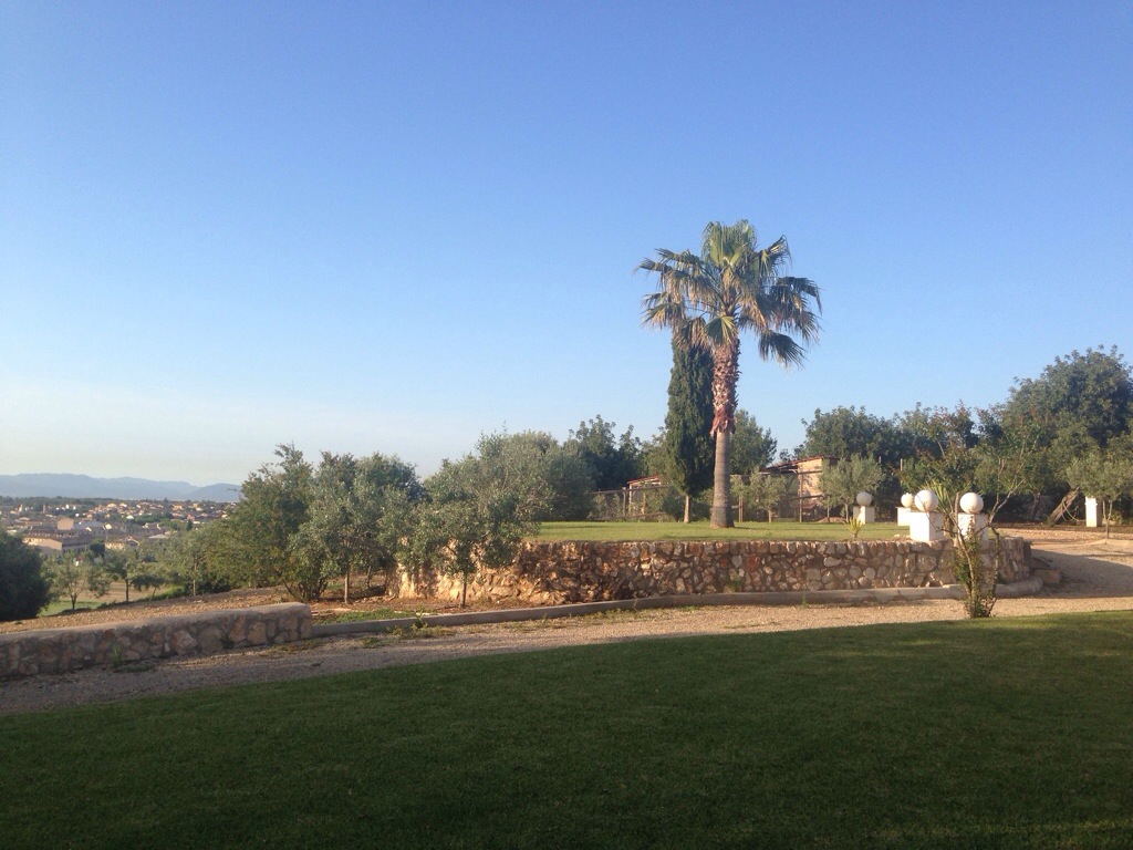 20140507-194419.jpg