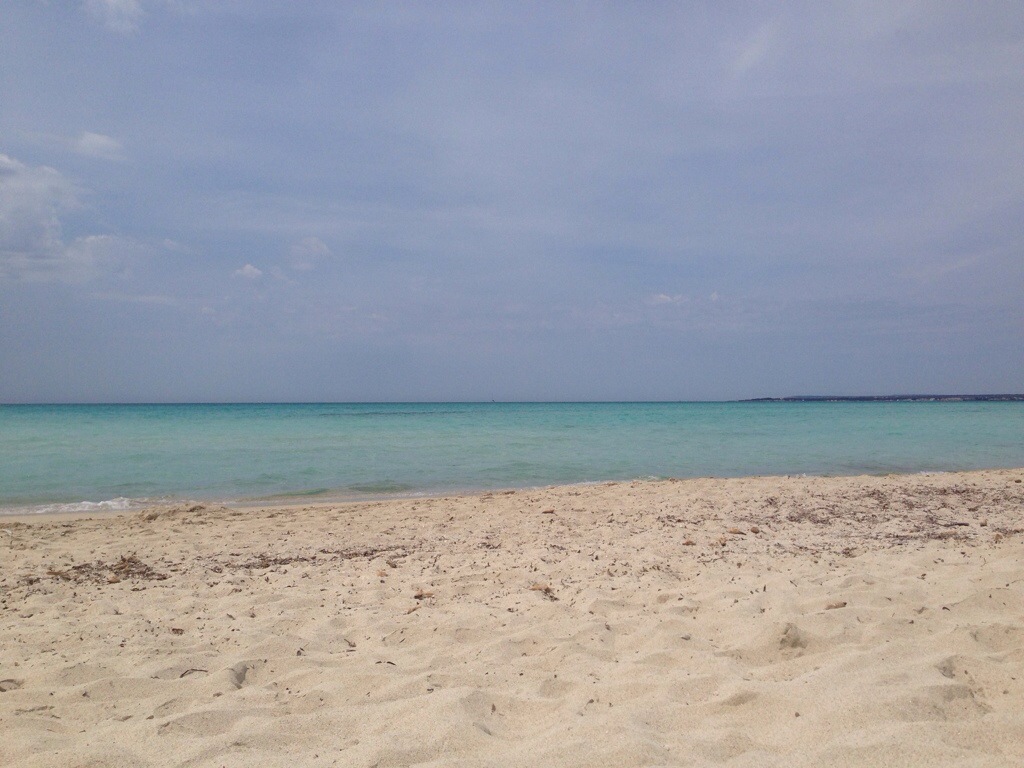 20140511-150557.jpg